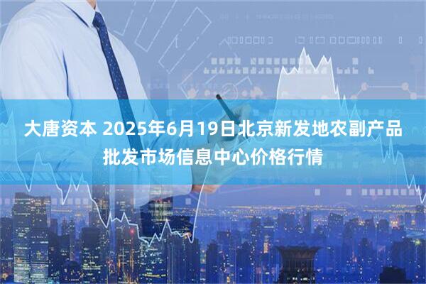 大唐资本 2025年6月19日北京新发地农副产品批发市场信息中心价格行情