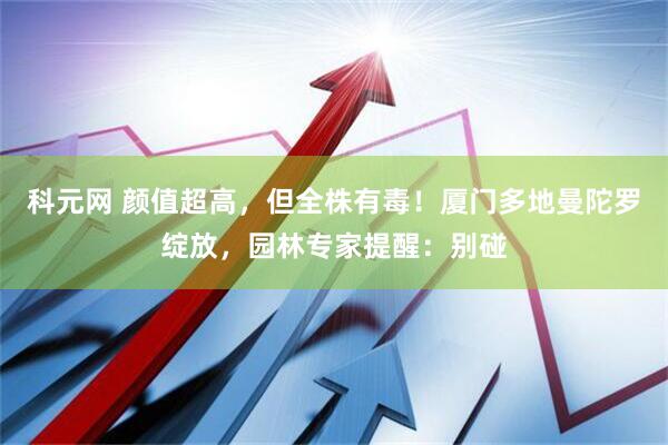 科元网 颜值超高，但全株有毒！厦门多地曼陀罗绽放，园林专家提醒：别碰